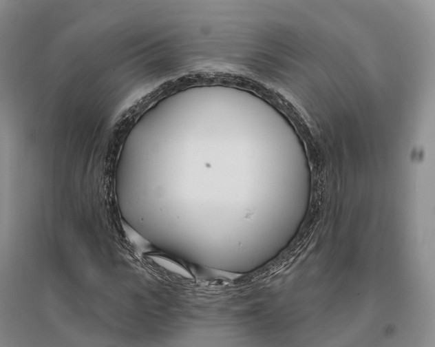 X0000096720919200802261650