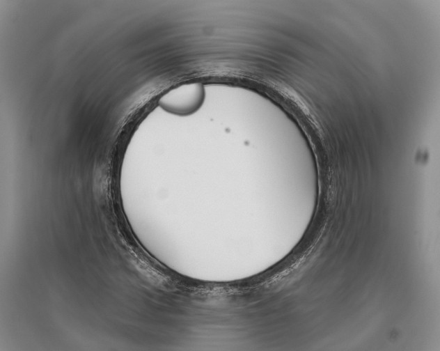 X0000096720922200802261650