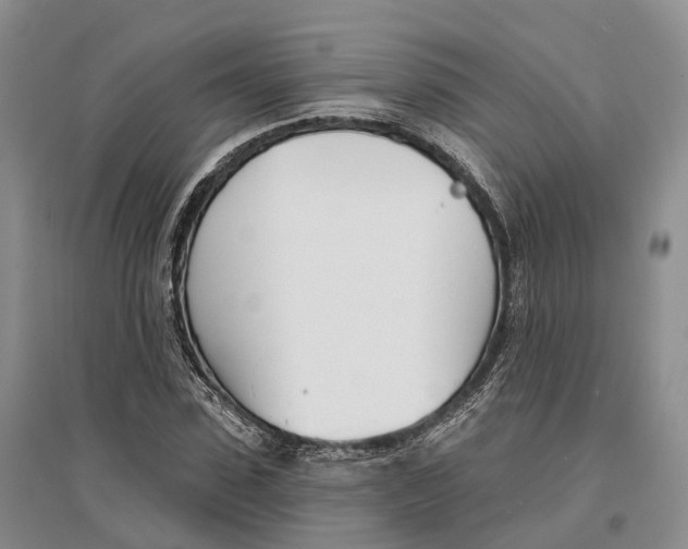 X0000096720923200802261650