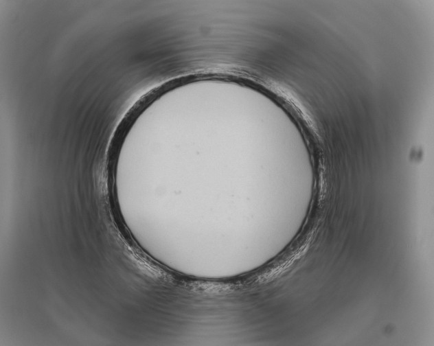 X0000096720924200802261650