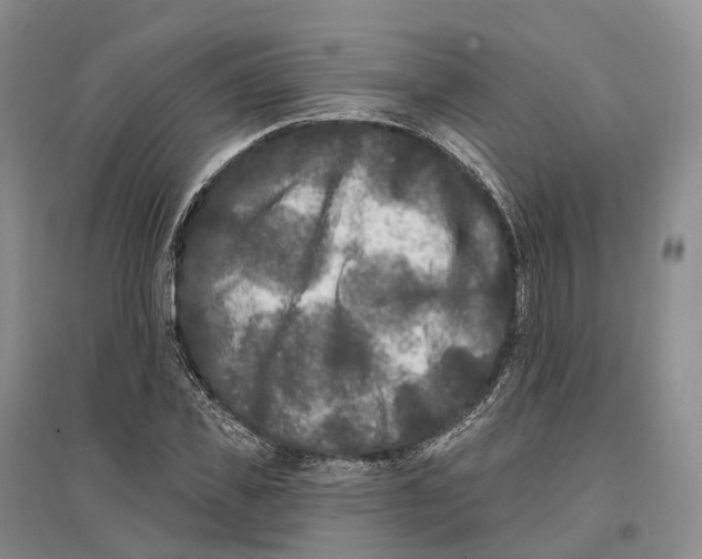 X0000096720925200802261650