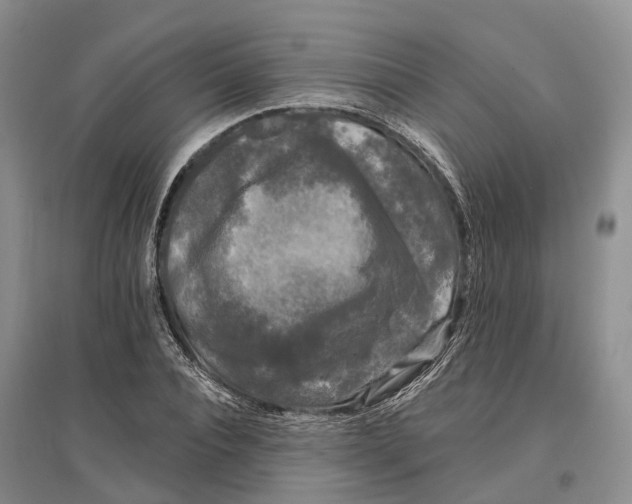 X0000096720928200802261650