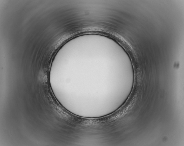 X0000096720929200802261650