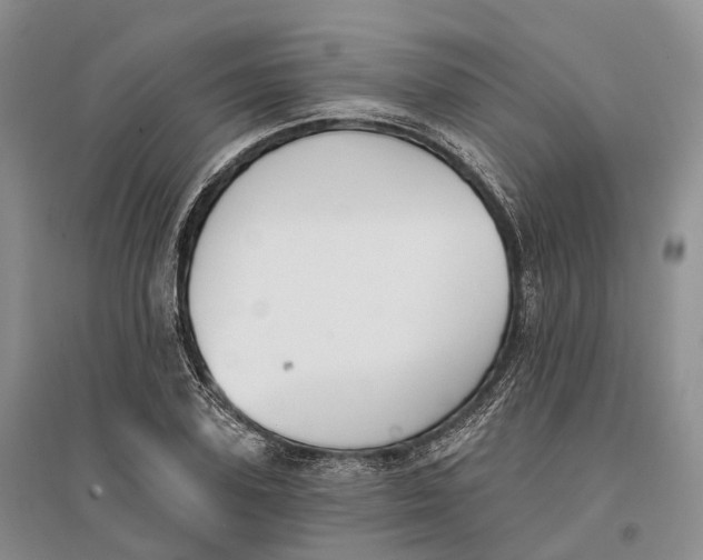 X0000096720931200802261650