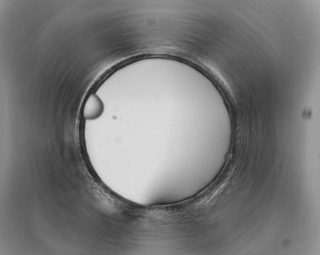 X0000096720932200802261650