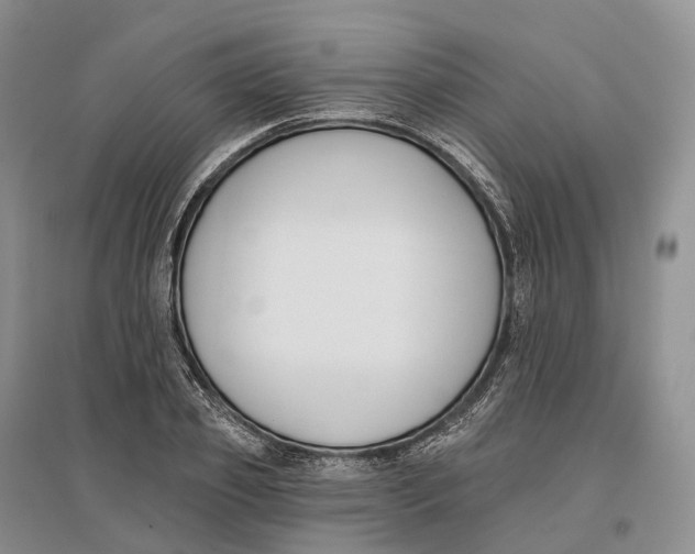 X0000096720933200802261650