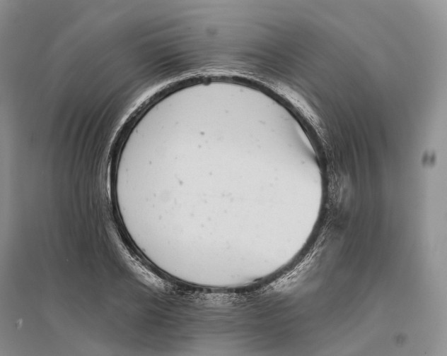 X0000096720934200802261650