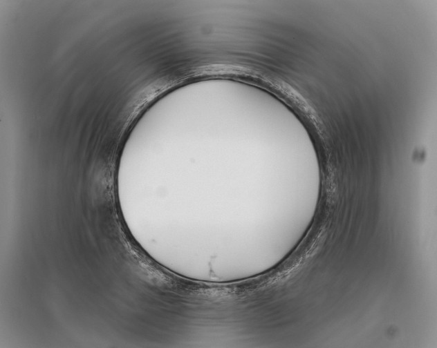 X0000096720937200802261650