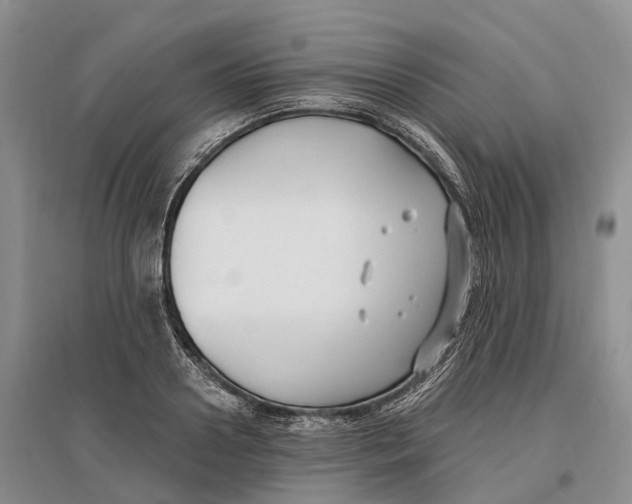 X0000096720938200802261650