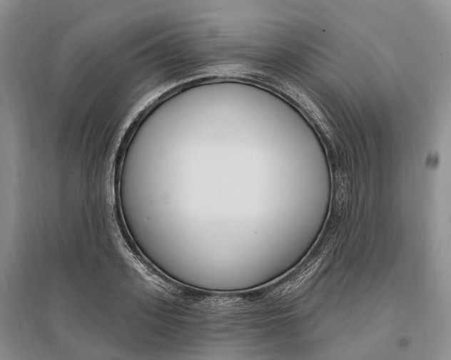 X0000096720939200802261650