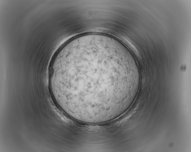 X0000096720940200802261650