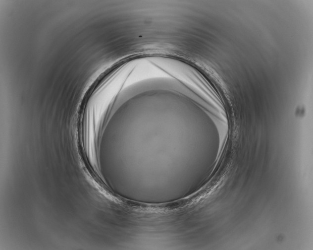 X0000096720941200802261650