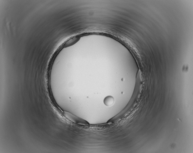 X0000096720942200802261650