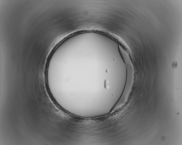 X0000096720943200802261650