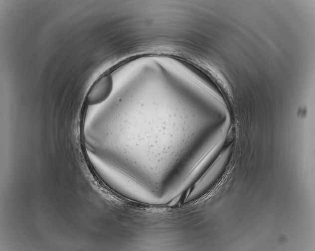 X0000096720944200802261650