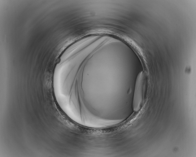 X0000096720945200802261650