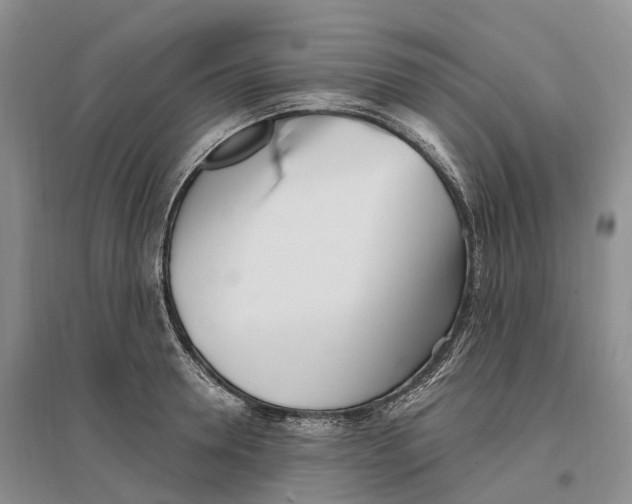 X0000096720946200802261650