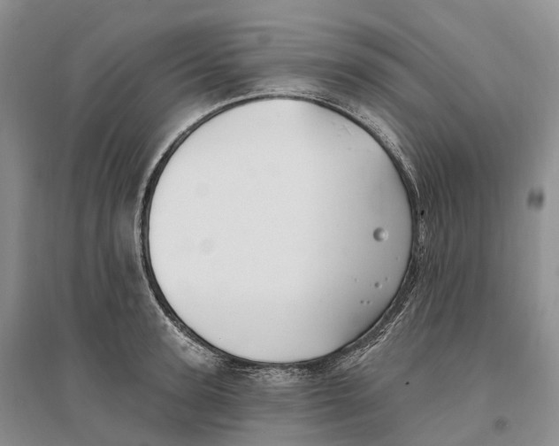 X0000096720947200802261650