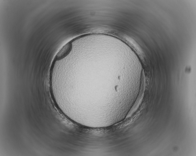 X0000096720948200802261650