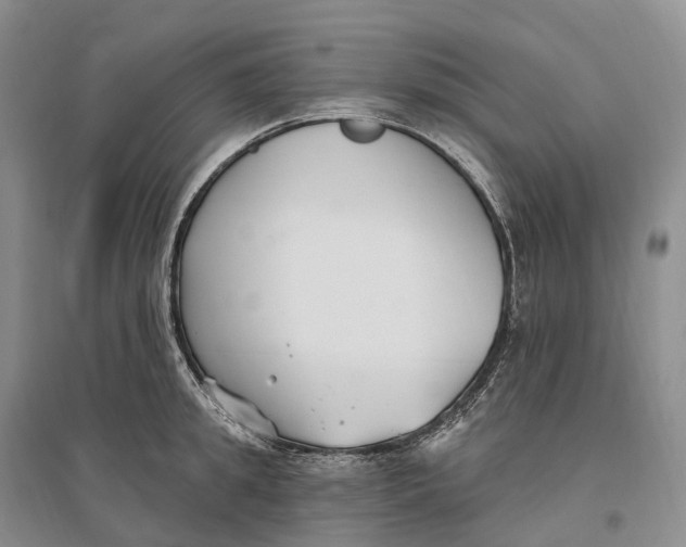 X0000096720949200802261650