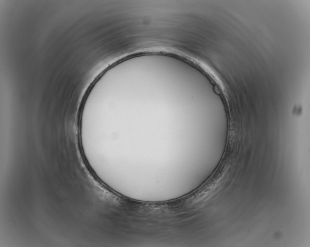 X0000096720951200802261650