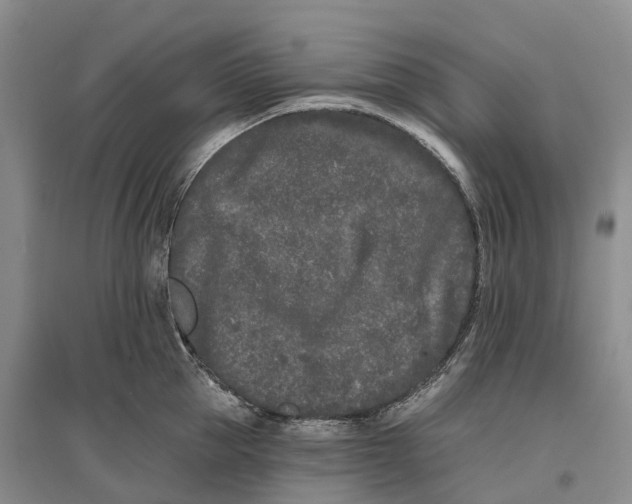 X0000096720953200802261650