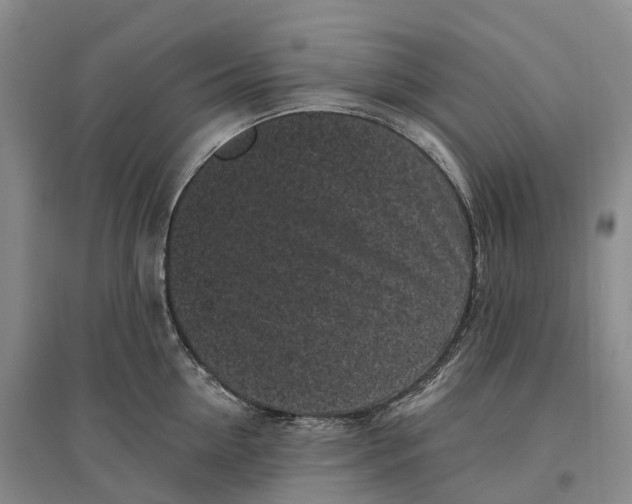 X0000096720954200802261650