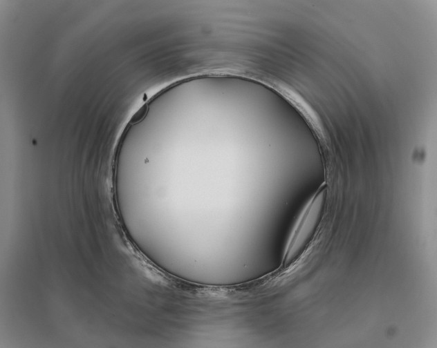 X0000096720956200802261650