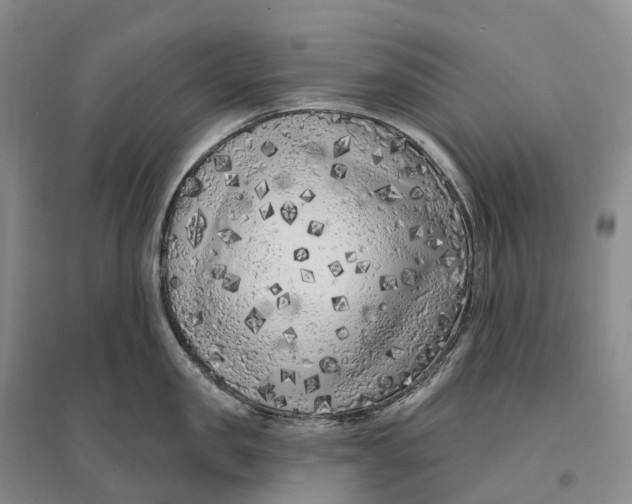 X0000096720957200802261650