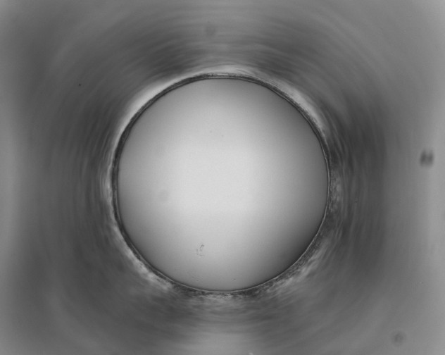 X0000096720959200802261650