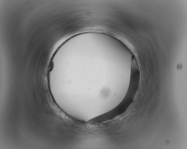 X0000096720960200802261650