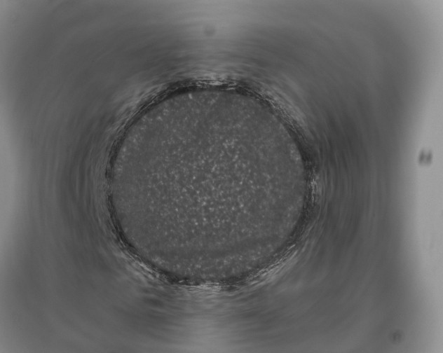 X0000096720961200802261649