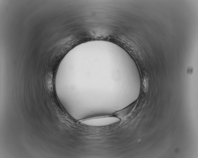 X0000096720963200802261649