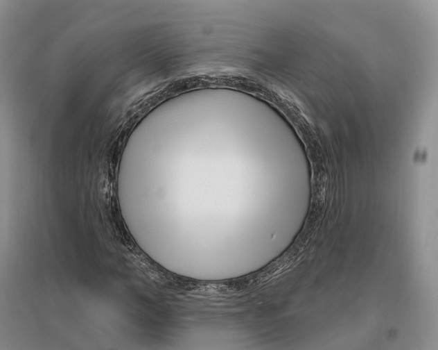 X0000096720966200802261649