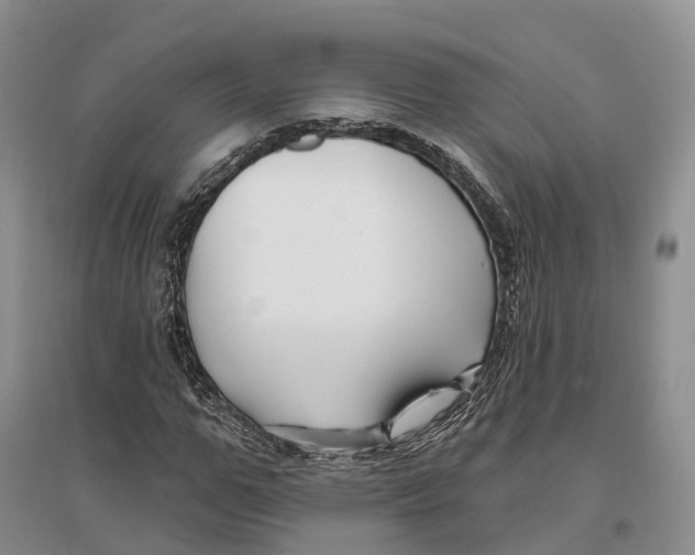 X0000096720967200802261649