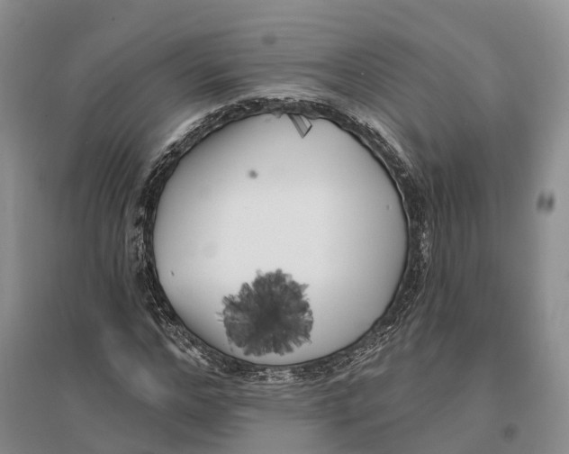 X0000096720968200802261649