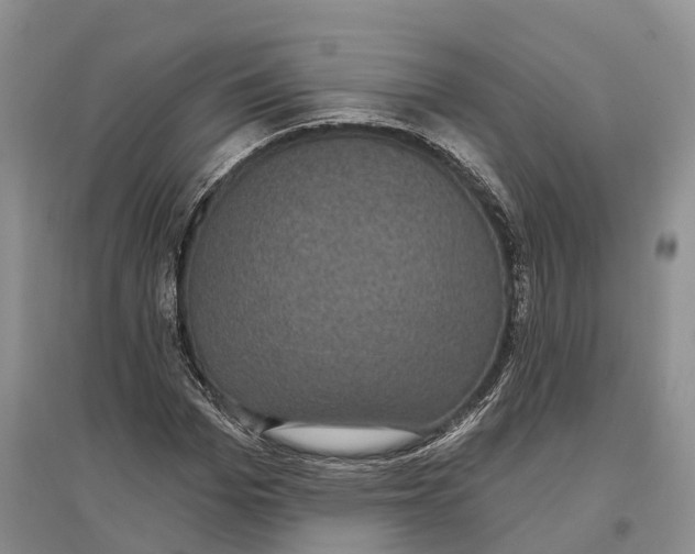 X0000096720969200802261649