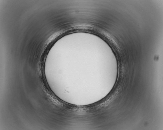 X0000096720970200802261649