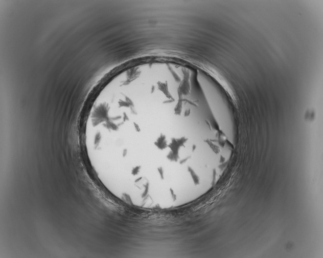 X0000096720972200802261649