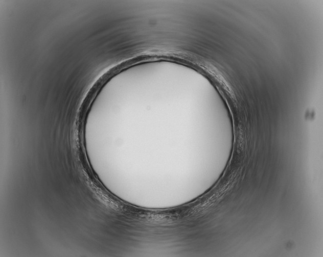 X0000096720976200802261649