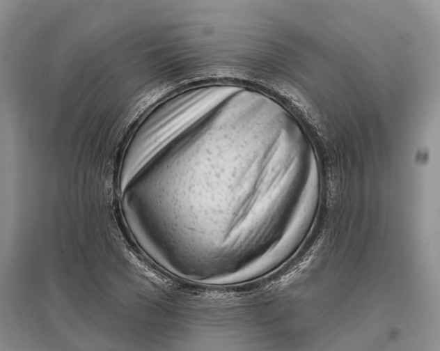 X0000096720977200802261649