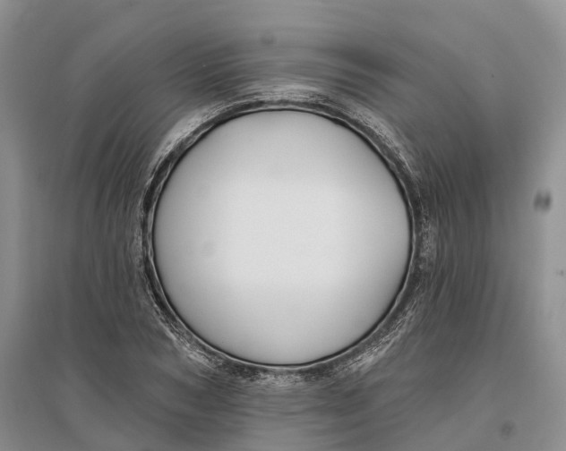 X0000096720978200802261649