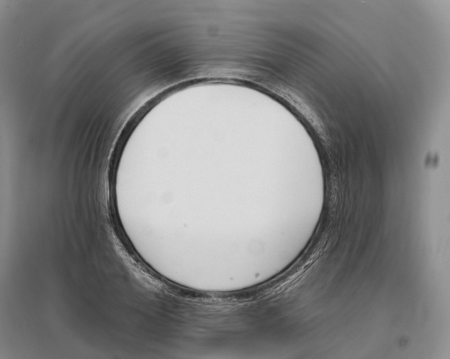 X0000096720980200802261649