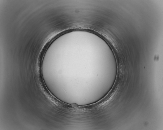 X0000096720981200802261649