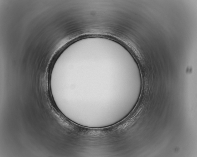 X0000096720982200802261649