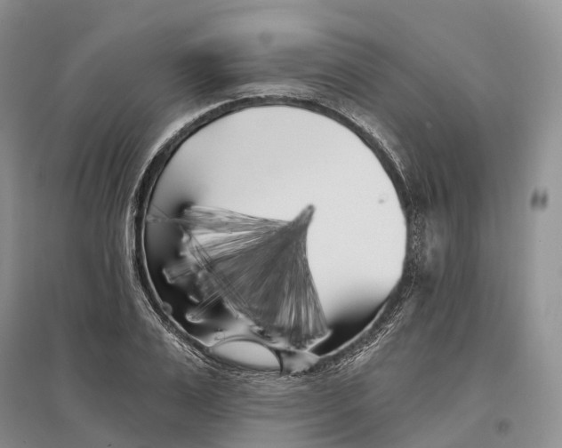 X0000096720983200802261649