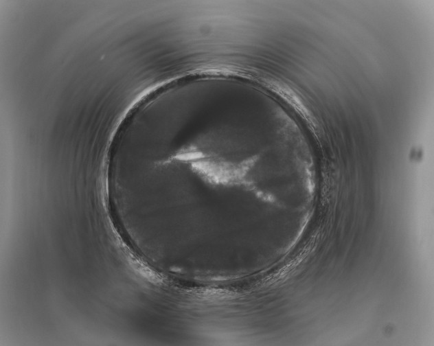 X0000096720984200802261649