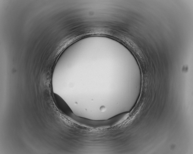 X0000096720985200802261649