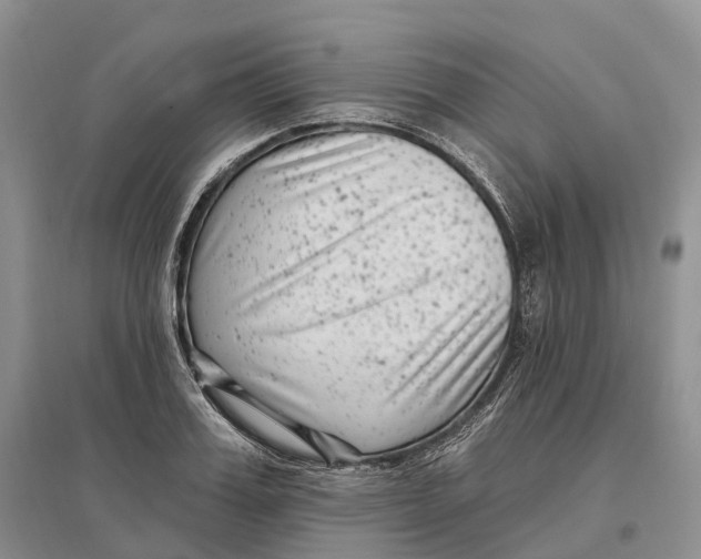 X0000096720987200802261649