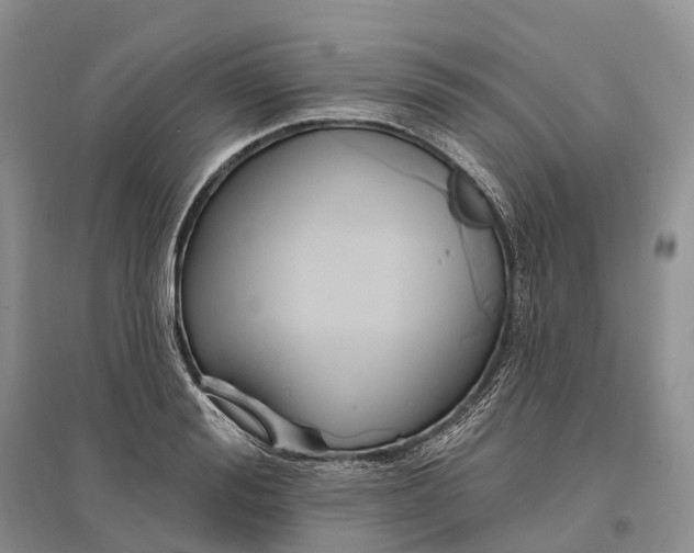 X0000096720988200802261649